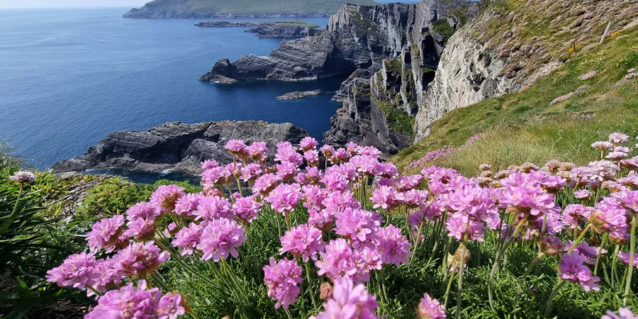 kerry-cliffs-ring-of-ketty-ireland-gettyimages-1499688092-1